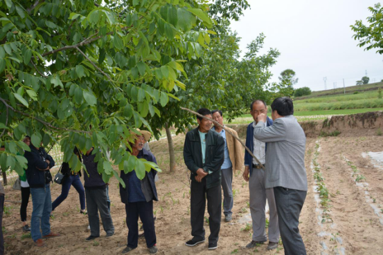 鍥剧墖3.png 鍥剧墖3.png